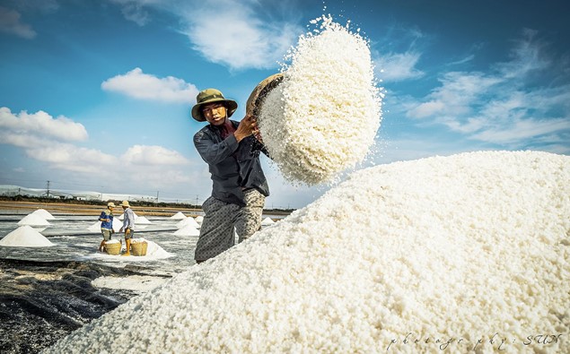 Nghề làm muối - có thể bạn chưa biết